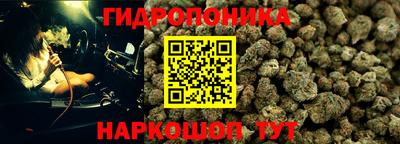 СК Обь