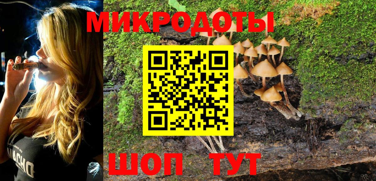 Псилоцибиновые грибы мицелий  Вход с VPN  Петропавловск-Камчатский 