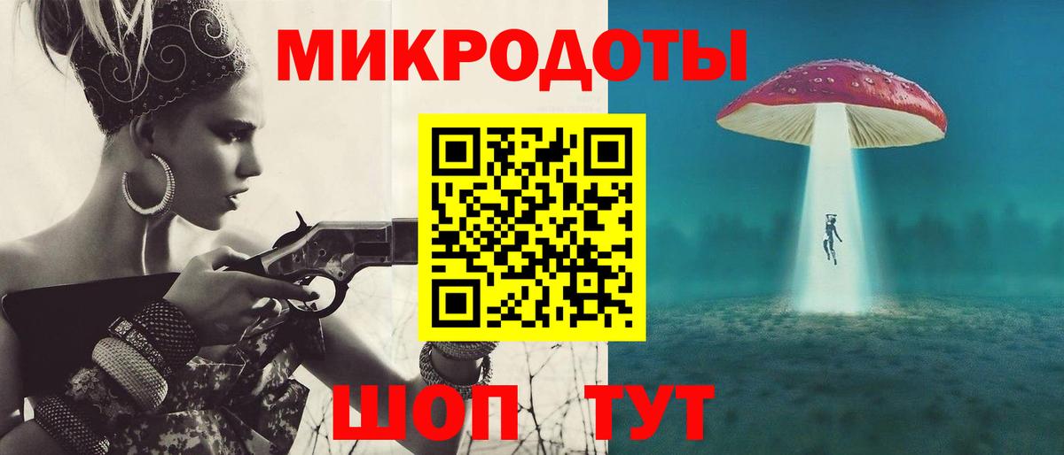 Псилоцибиновые грибы Psilocybe Петропавловск-Камчатский